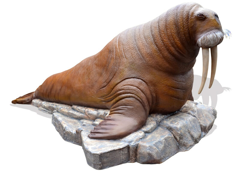 Figura realista de Morsa marina en resina o fibra de vidrio